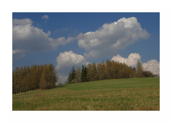 P410029401.jpg