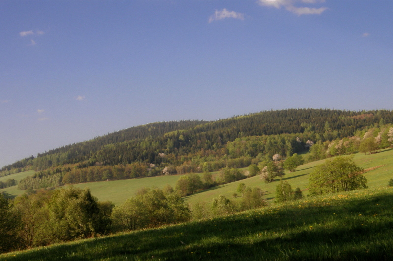 P428011402.jpg