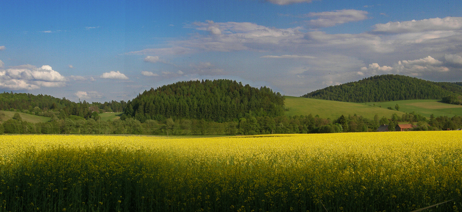 P5100510.JPG